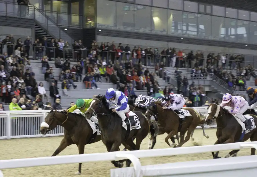 Horse Racing Betting